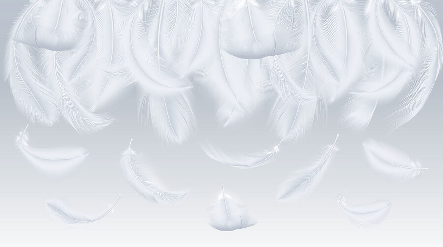 Fotomurales Plumas blancas cayendo - Imagen 3
