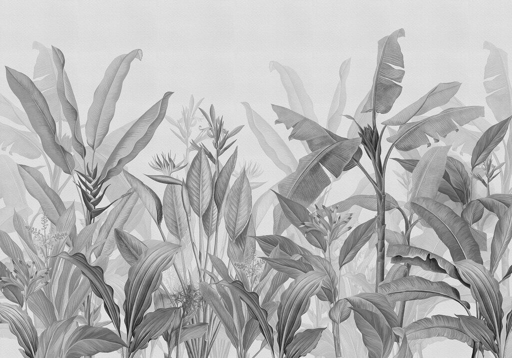 Close up of plants
