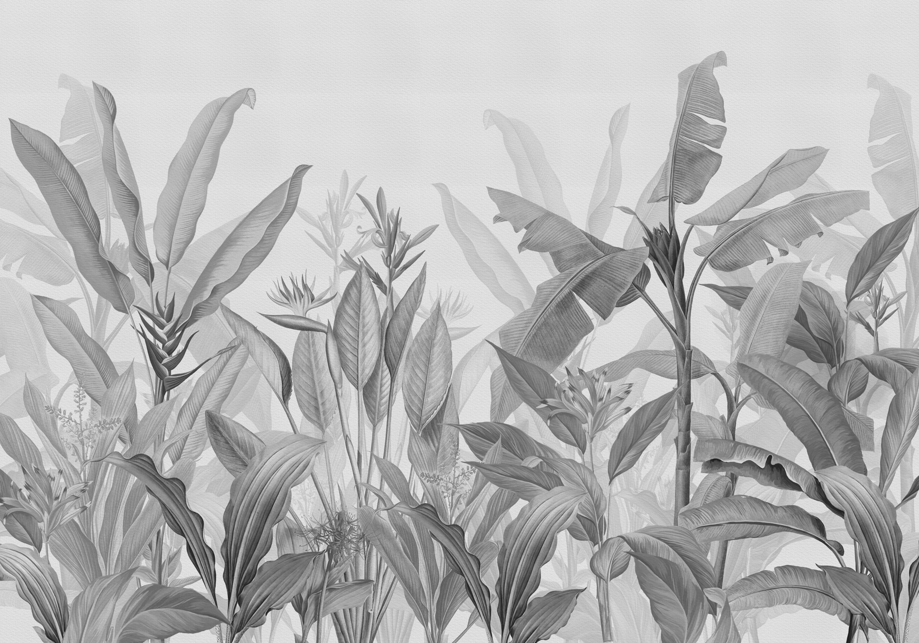 Close up of plants