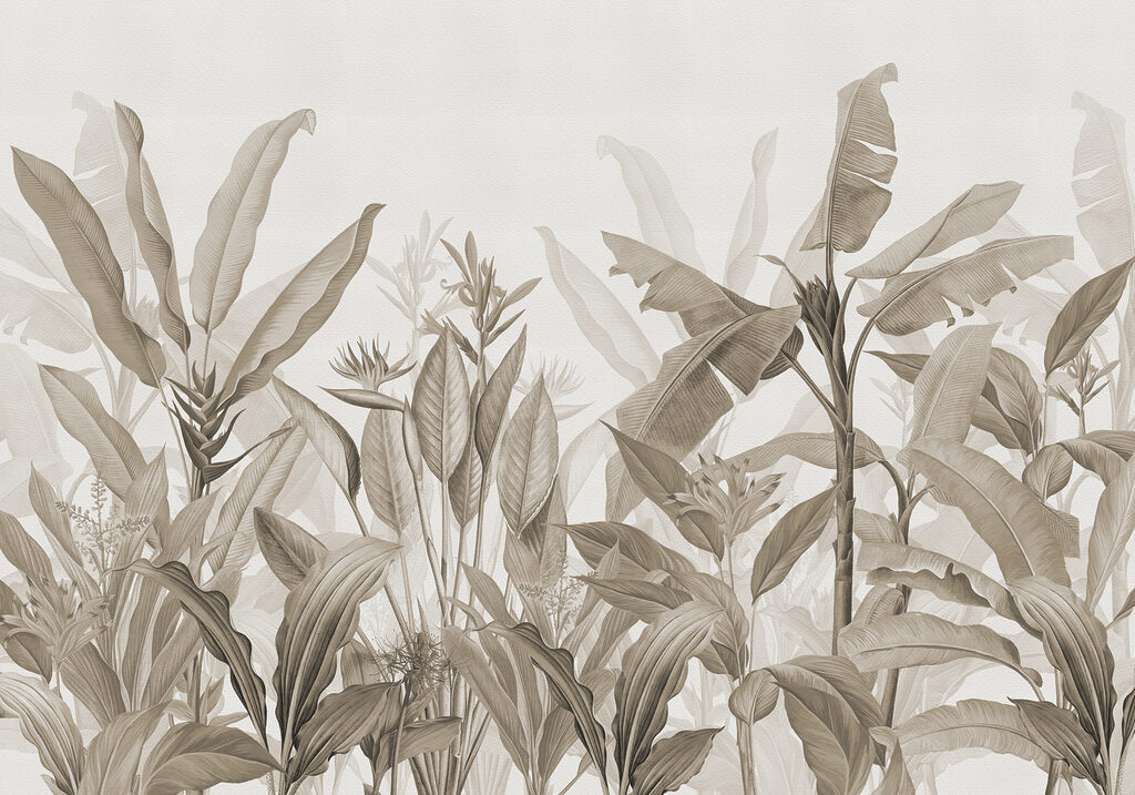 Close up of plants