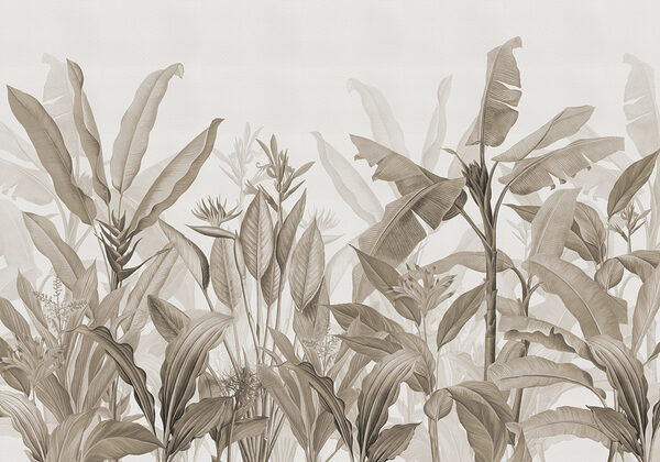 Close up of plants