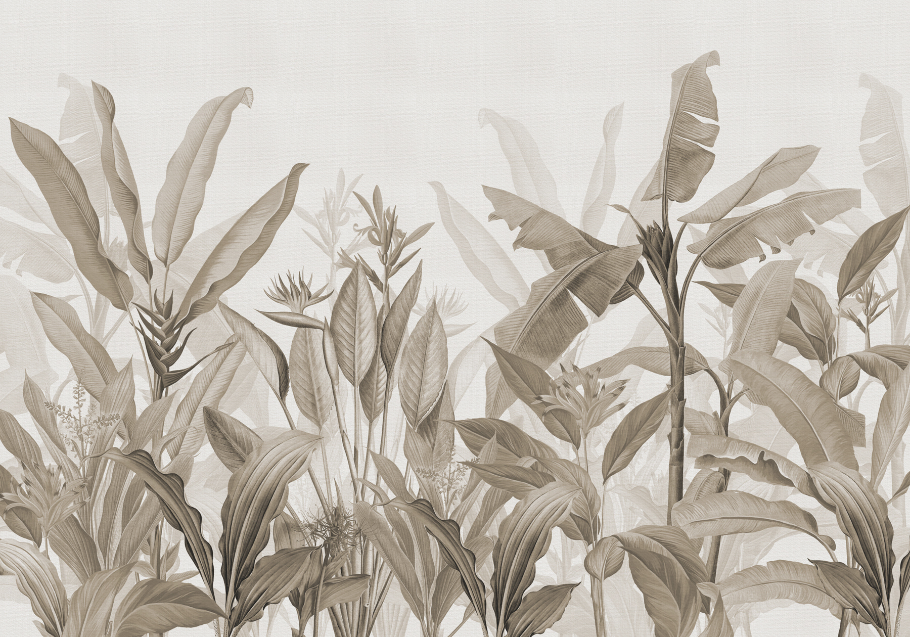 Close up of plants
