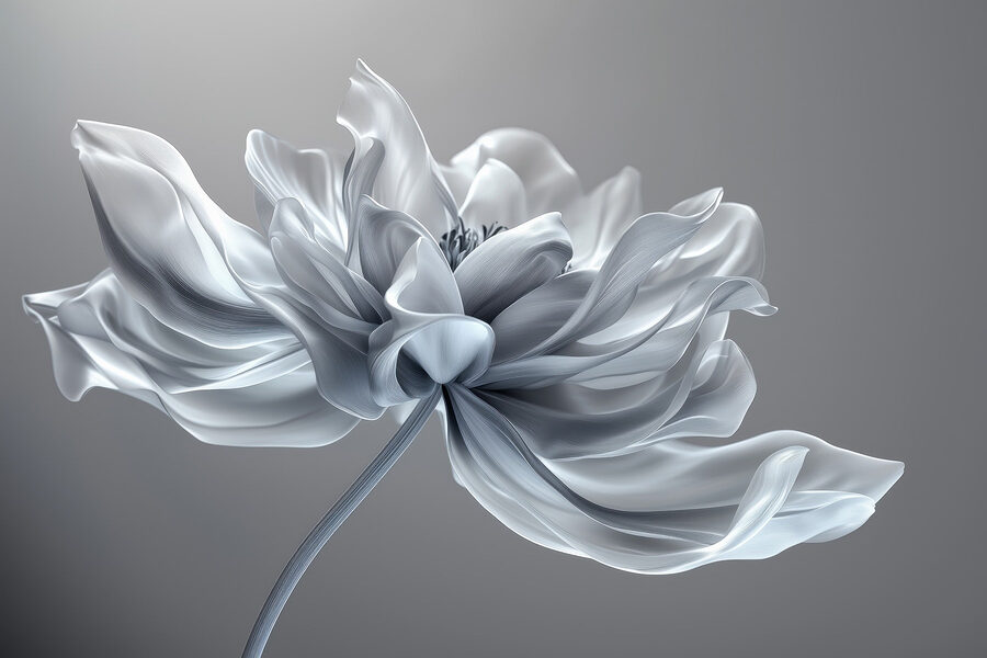 Flor blanca de tallo largo