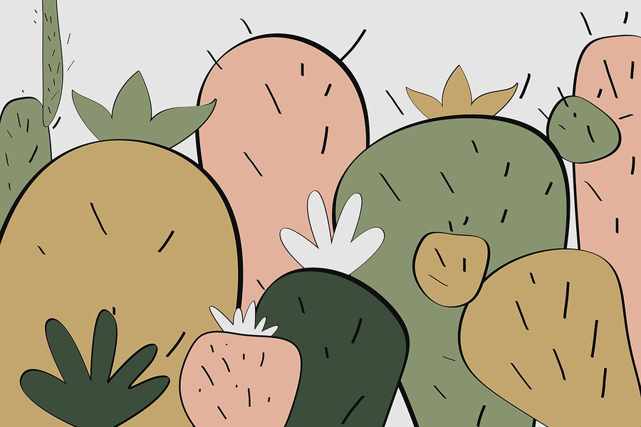 Grupo de cactus con formas diferentes