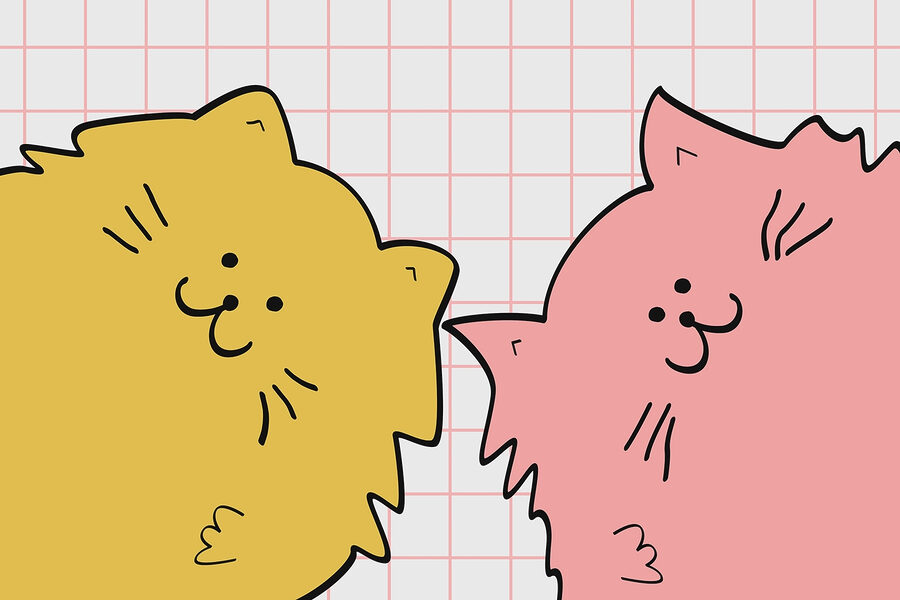 Yellow and pink cat Yellow and pink cat