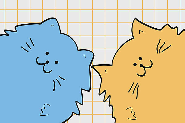 Gato azul y amarillo Gato azul y amarillo