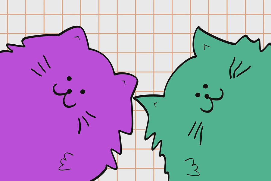 Gato morado y verde