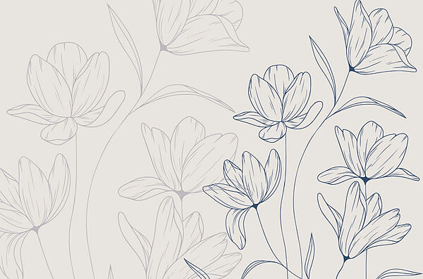 Drawing of flowers on a white background