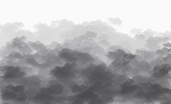 Imagen de nubes en blanco y negro Imagen de nubes en blanco y negro