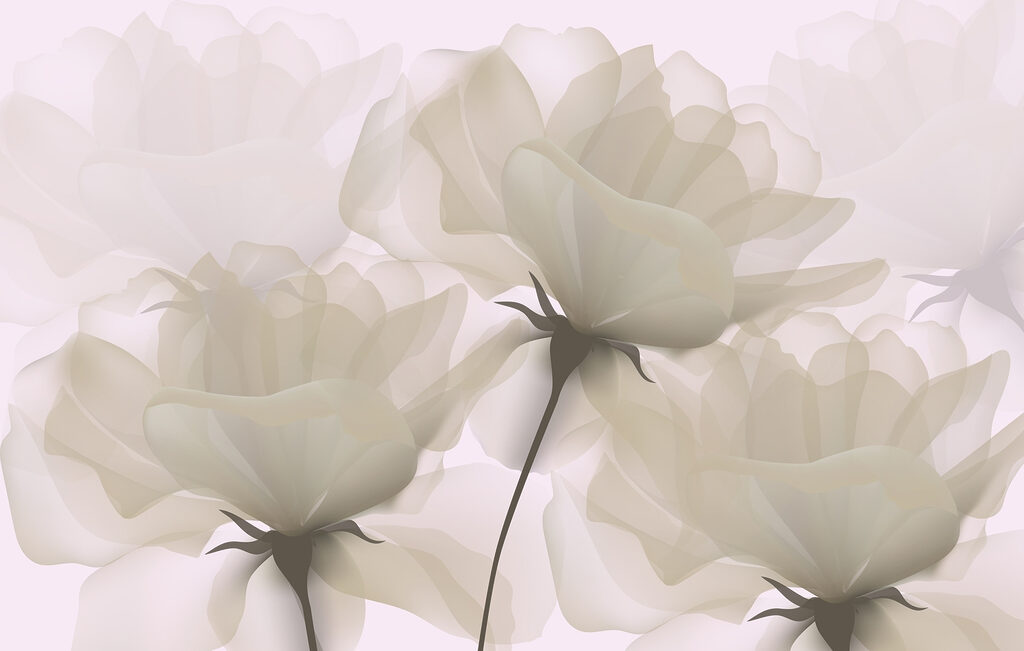 Group of white flowers