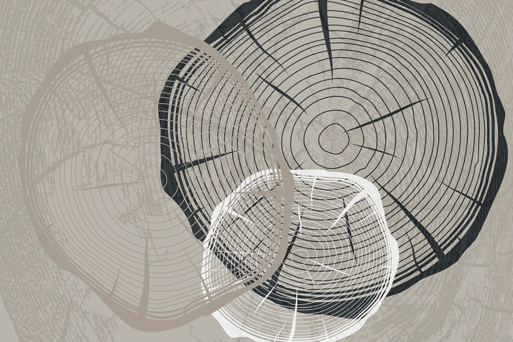 Abstract forms converge in chaos