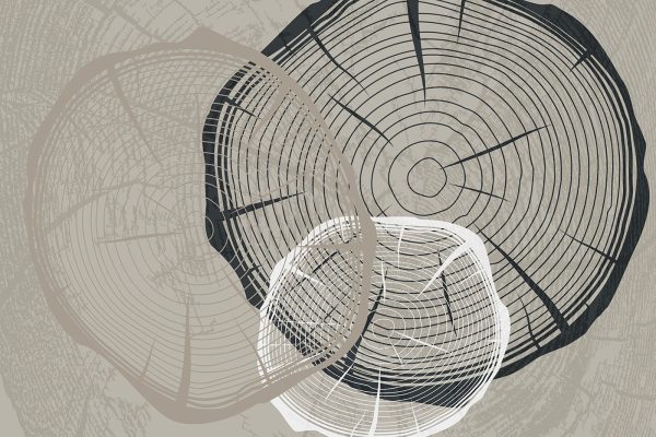 Abstract forms converge in chaos