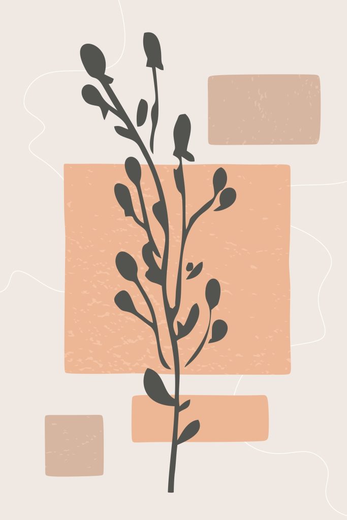 Plant with leaves and squares