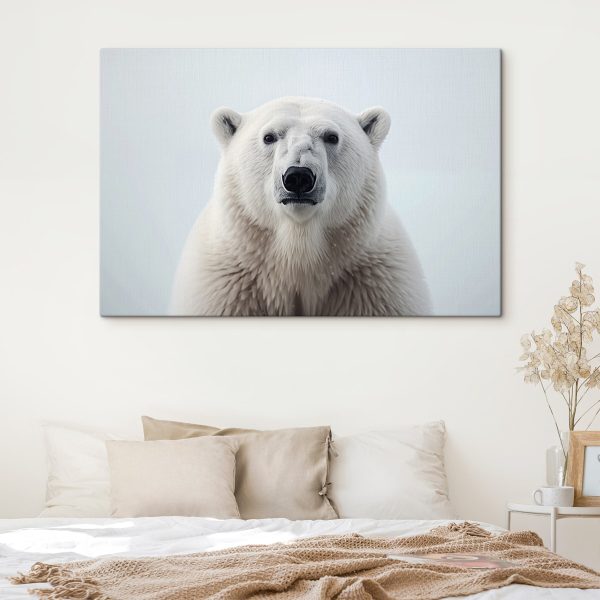 Cuadros Un oso polar mirando a la cámara (SKU: s41285) Cuadros Cuadros Un oso polar mirando a la cámara (SKU: s41285)