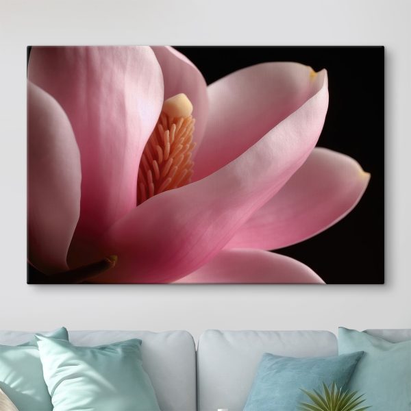 Pink petals embrace delicate core
