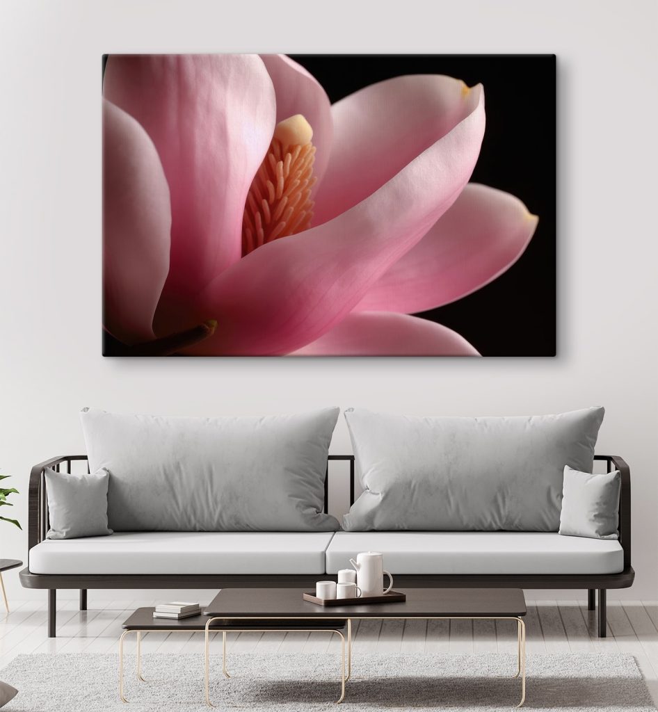 Pink petals embrace delicate core