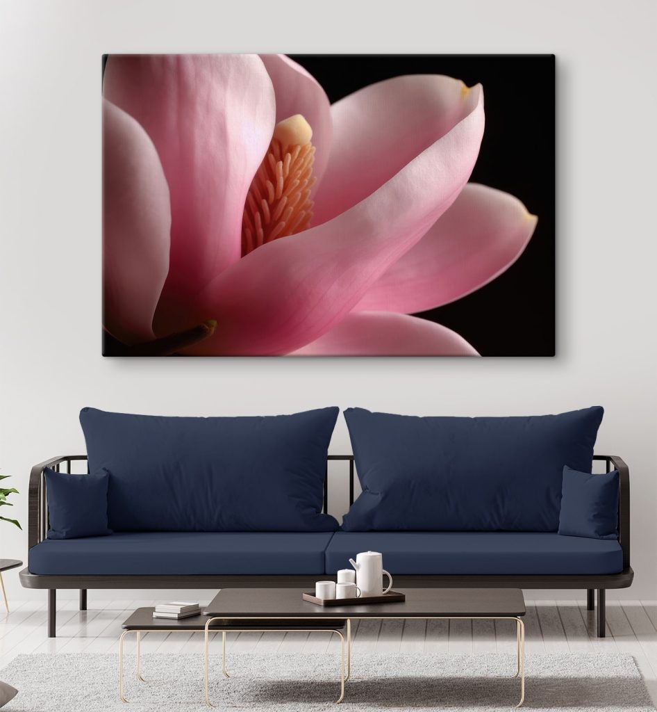 Pink petals embrace delicate core