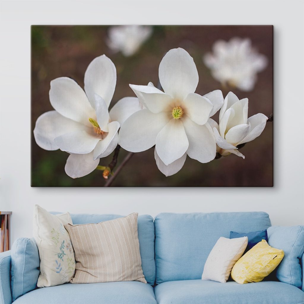 Group of white flowers