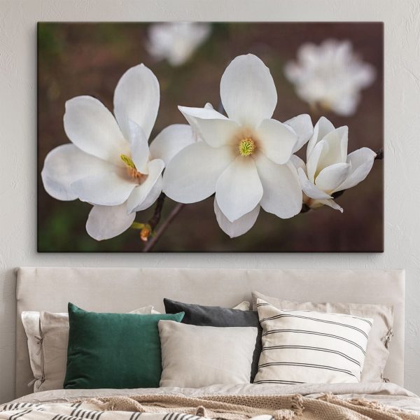Group of white flowers