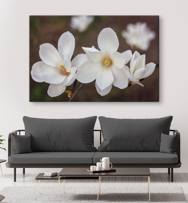 Group of white flowers