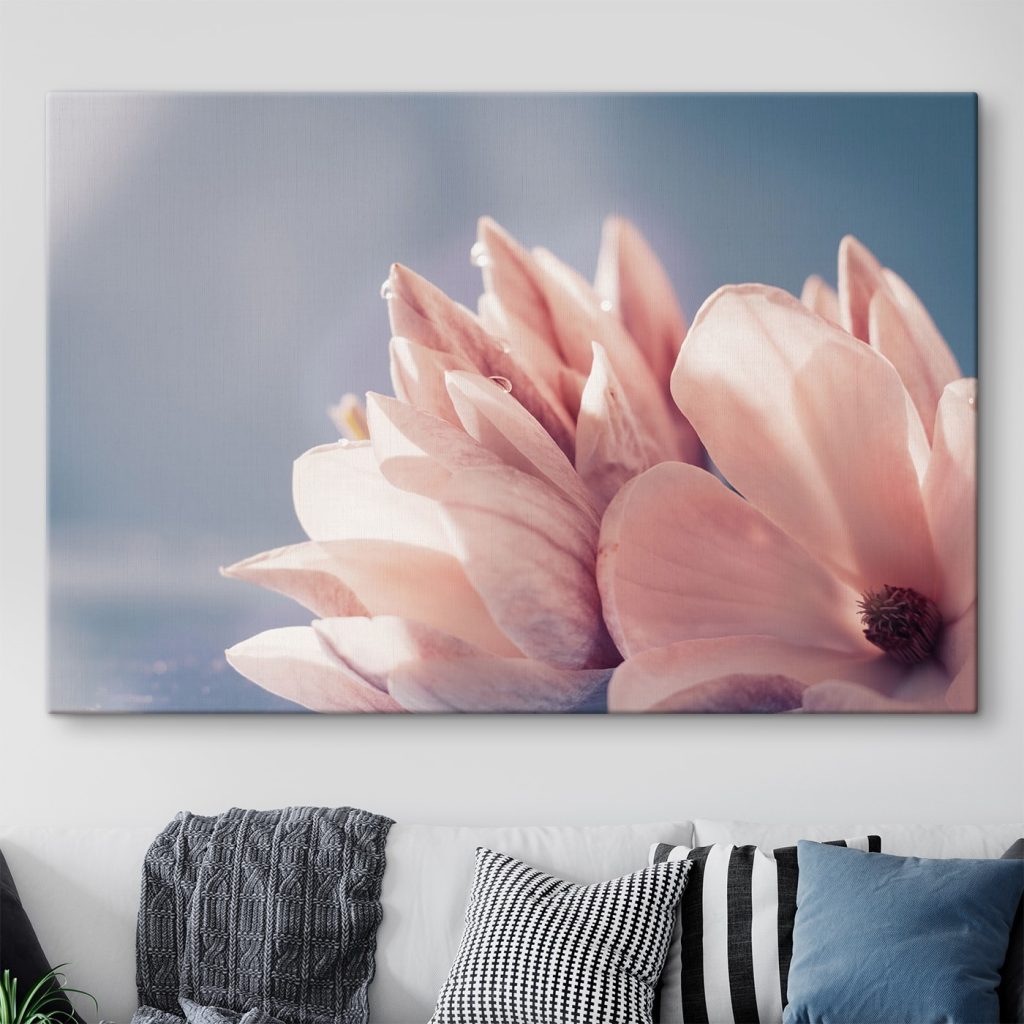 Petals glow in morning light