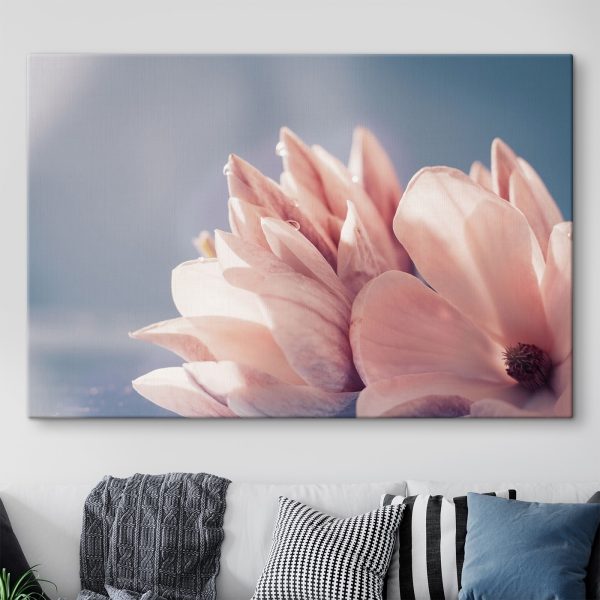 Petals glow in morning light