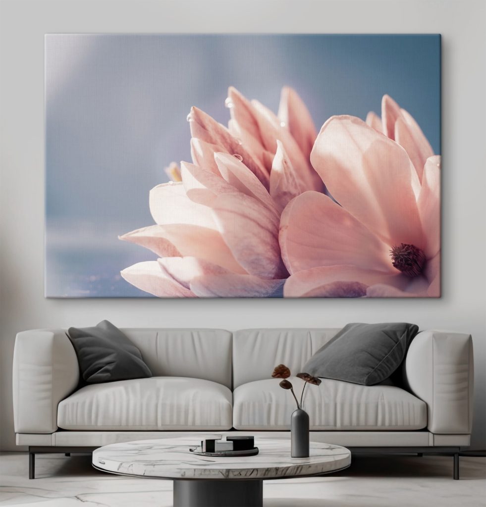 Petals glow in morning light