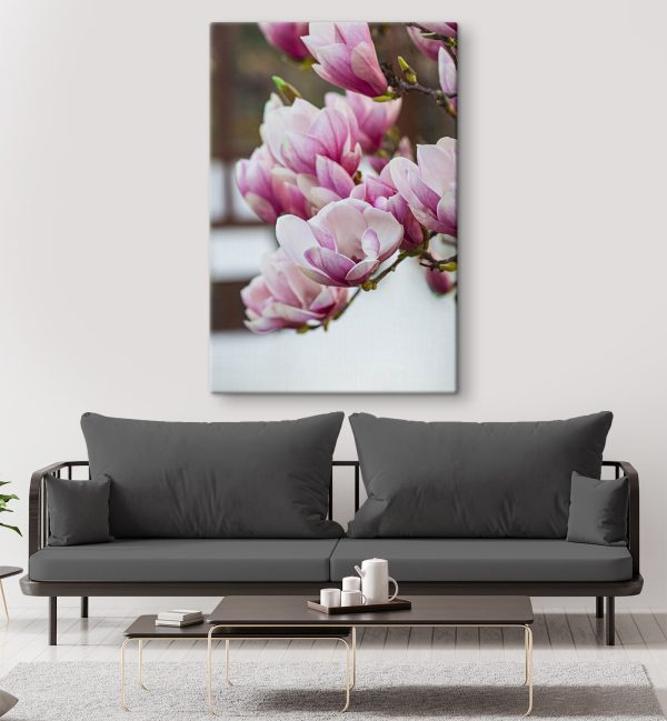 Spring magnolia blooms beckon anew Spring magnolia blooms beckon anew