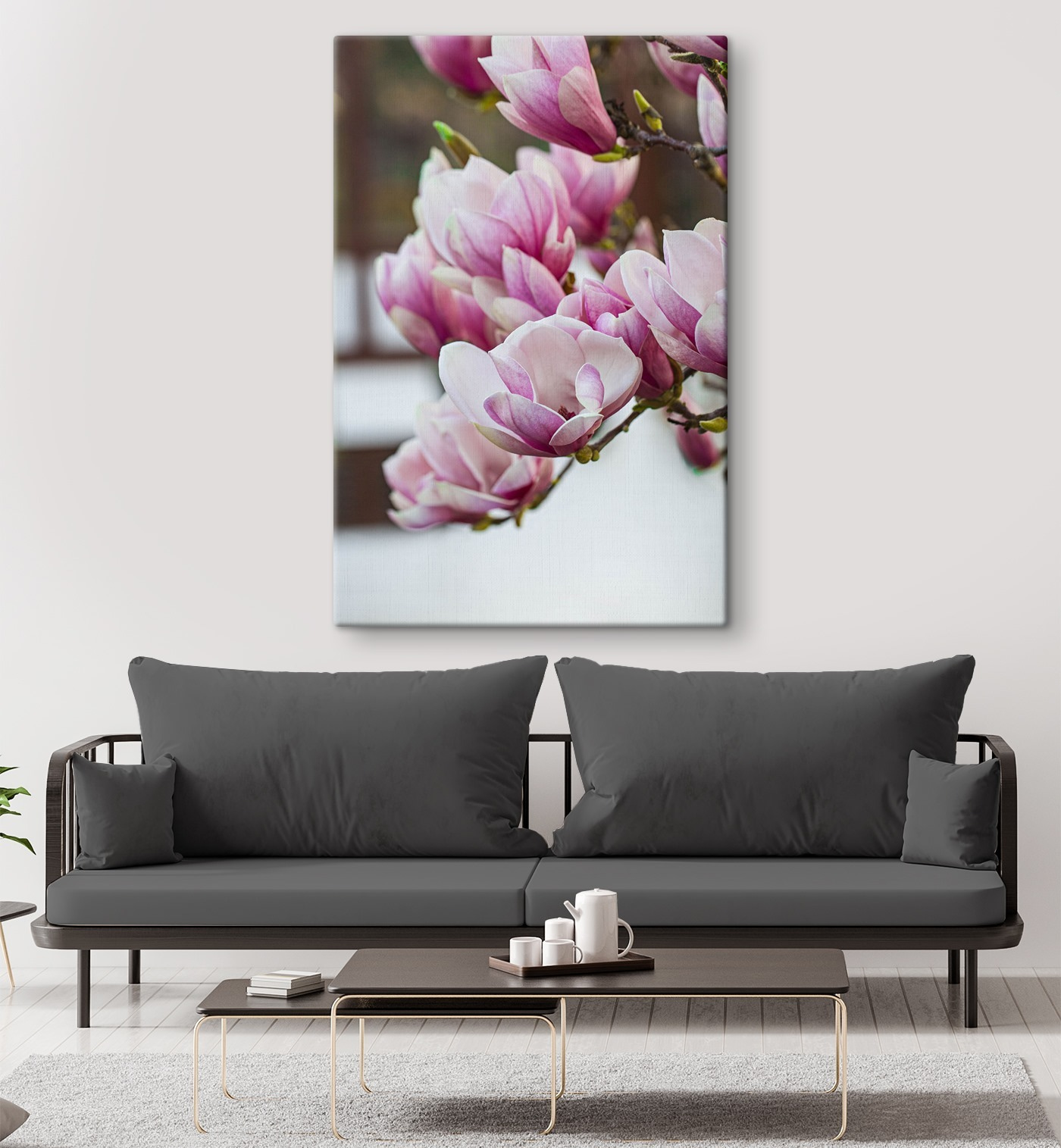 Spring magnolia blooms beckon anew Spring magnolia blooms beckon anew