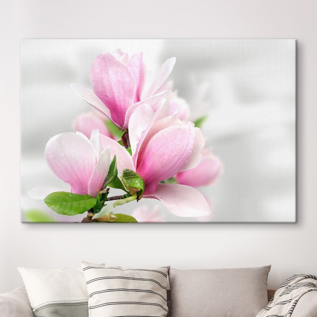 Pink Magnolia Blossoms in Bloom Pink Magnolia Blossoms in Bloom