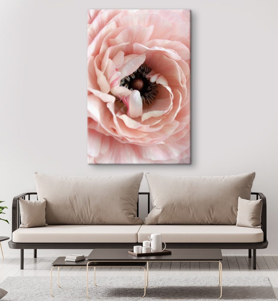 Subtle petal dance, nature's heart Subtle petal dance, nature's heart