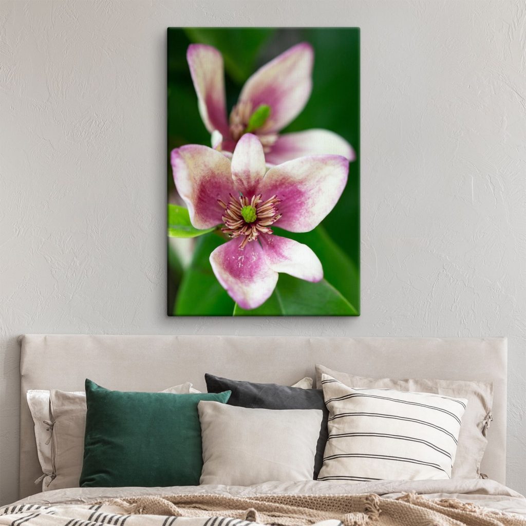 Delicate bloom in soft focus