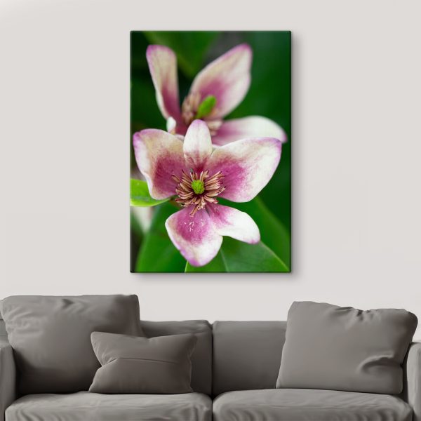 Delicate bloom in soft focus