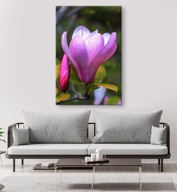 Cuadros Magnolia: la elegante flor de la naturaleza