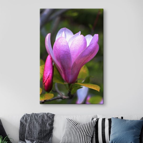 Magnolia: Nature's Graceful Bloom Magnolia: Nature's Graceful Bloom