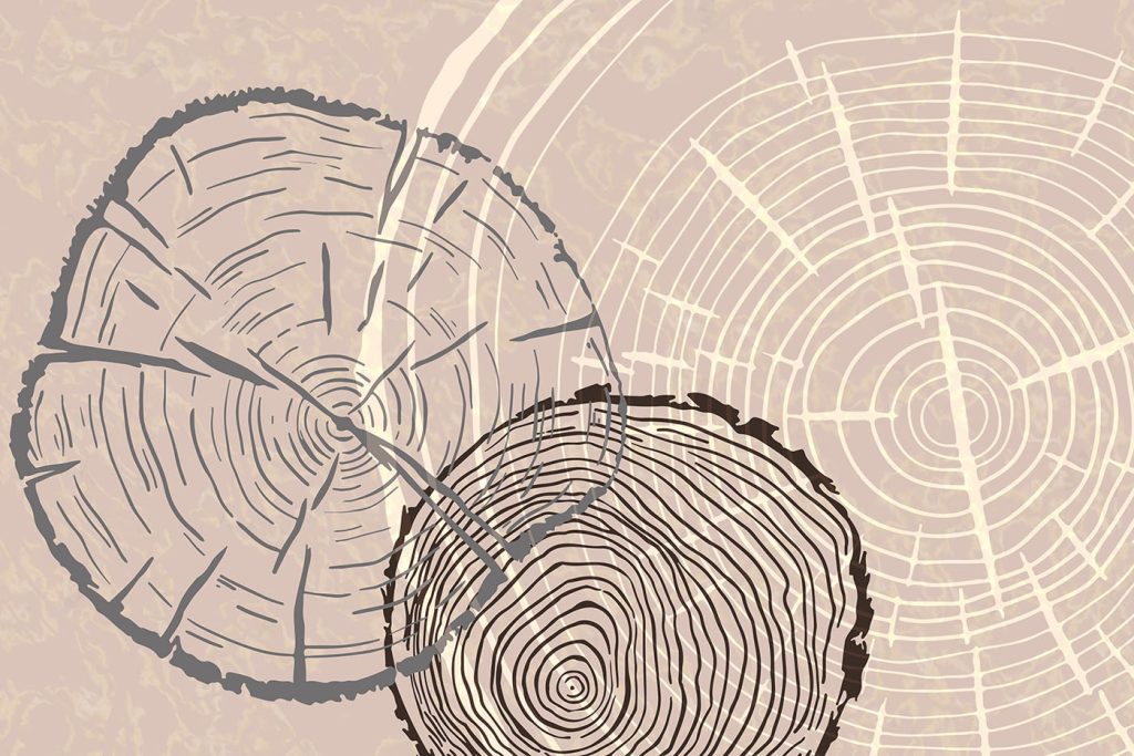 Time etched in wooden memories