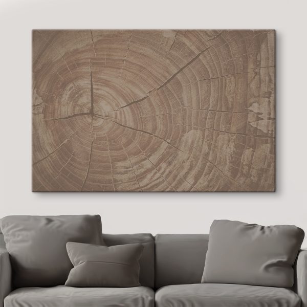 Tree Rings Tell Nature's Story