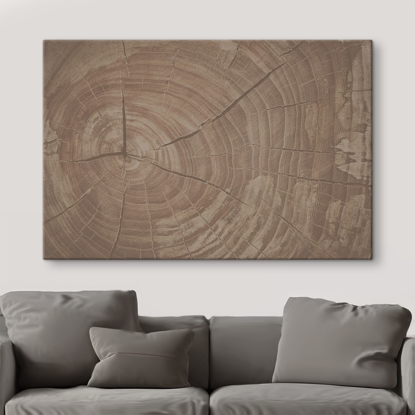 Tree Rings Tell Nature's Story
