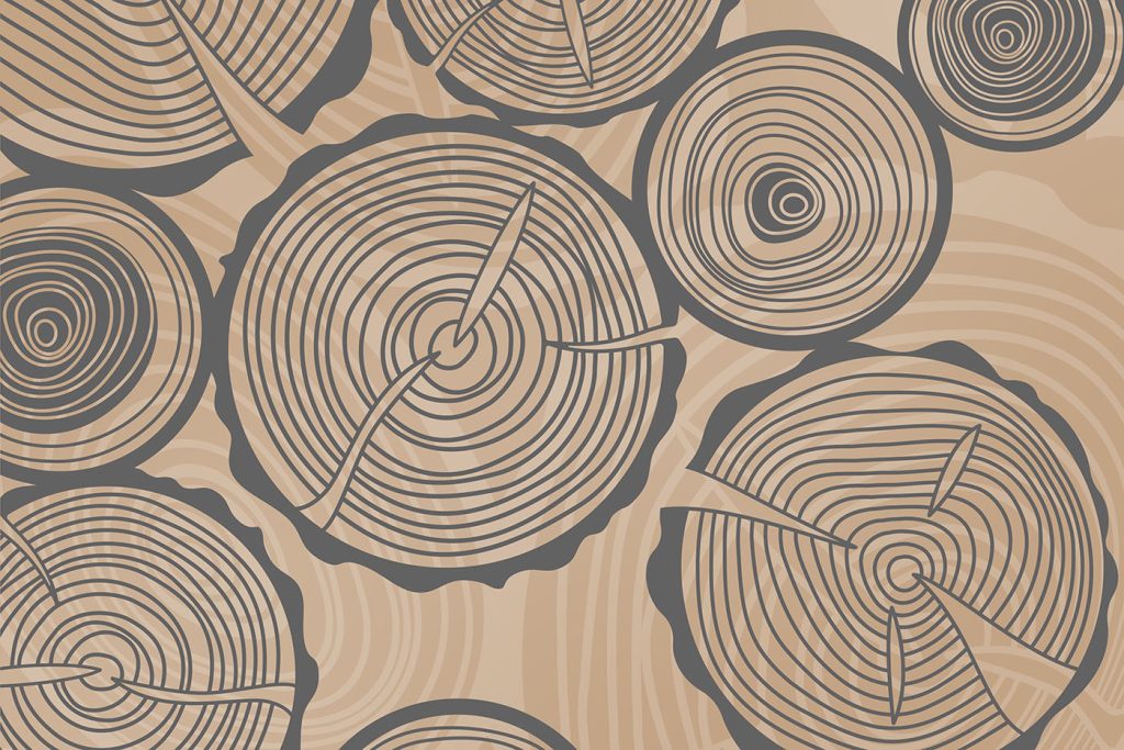 Pattern of rings of trees Pattern of rings of trees