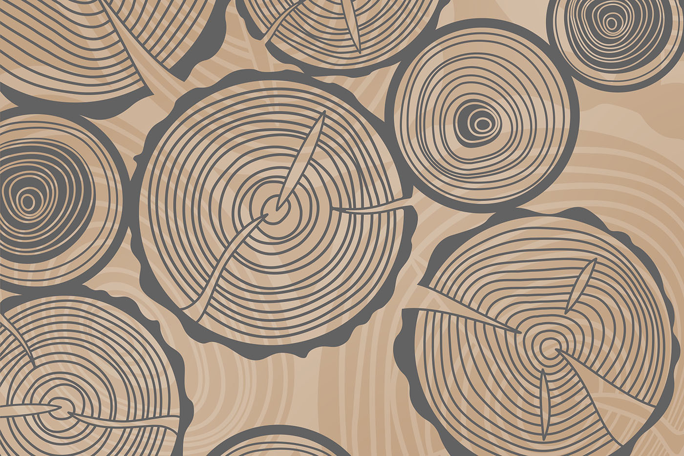 Pattern of rings of trees Pattern of rings of trees