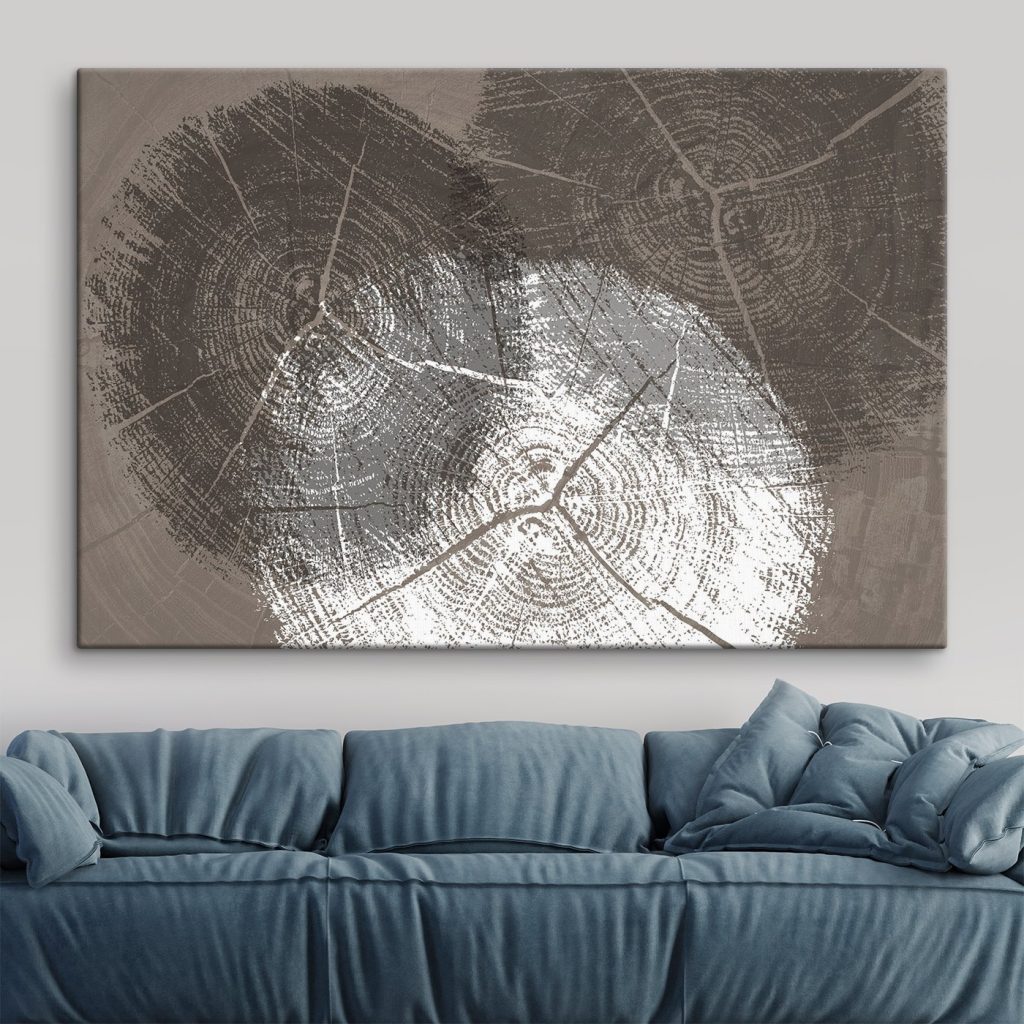 Tree Rings in Monochrome Detail Tree Rings in Monochrome Detail