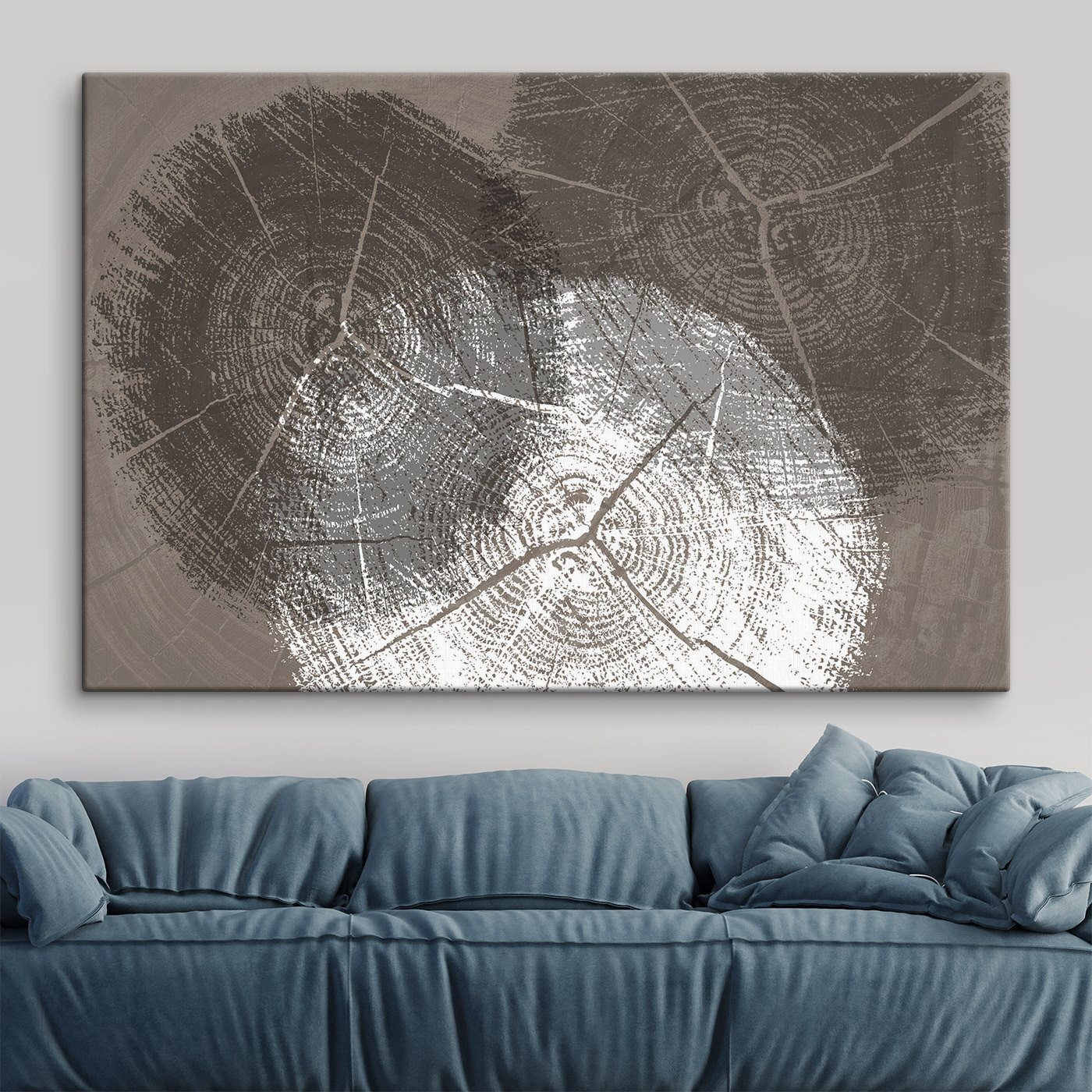 Tree Rings in Monochrome Detail Tree Rings in Monochrome Detail