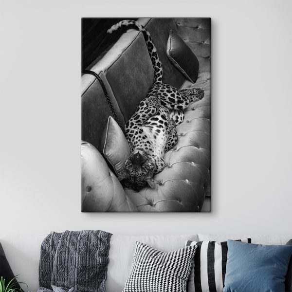 Leopard lying on a couch