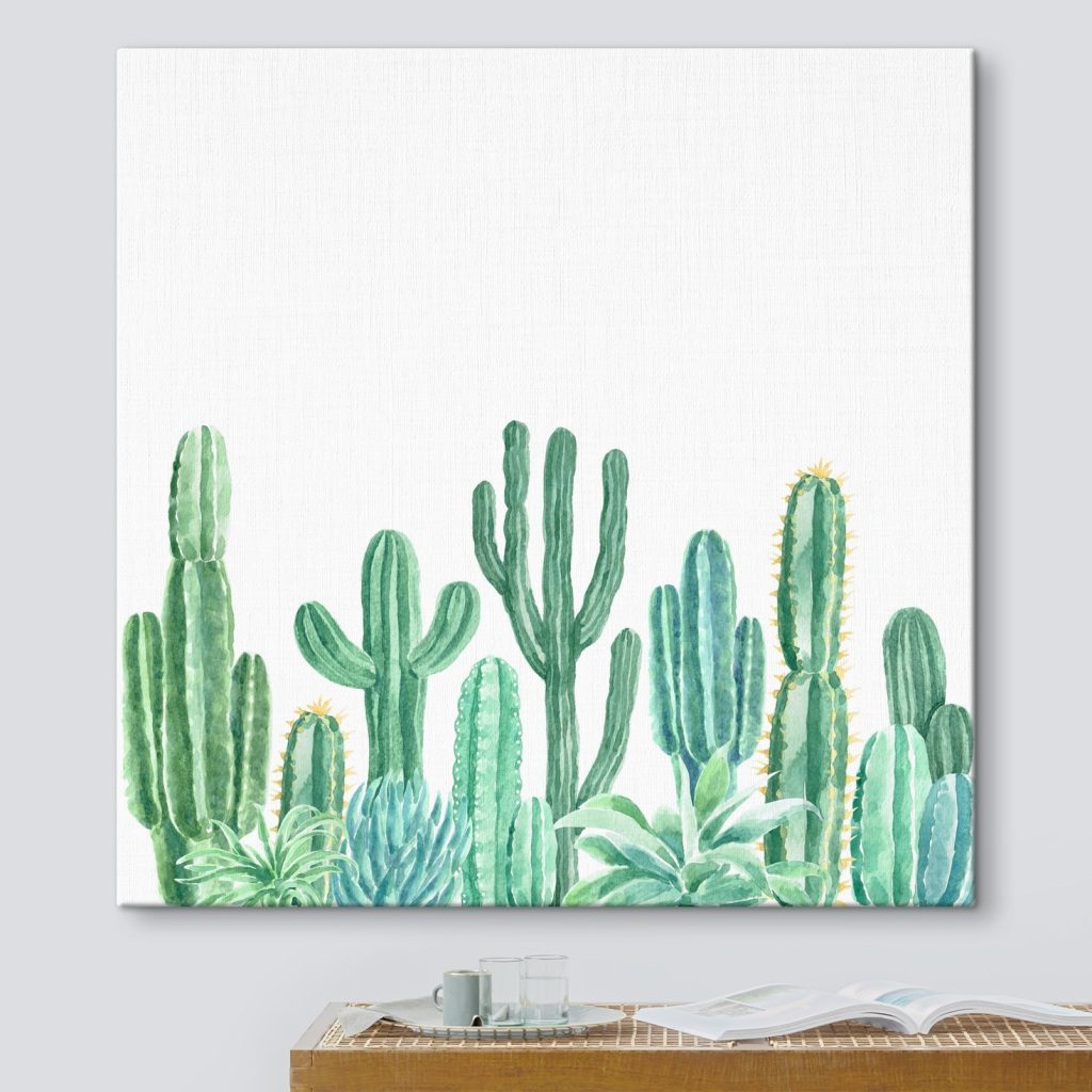 Group of cactuses and succulents