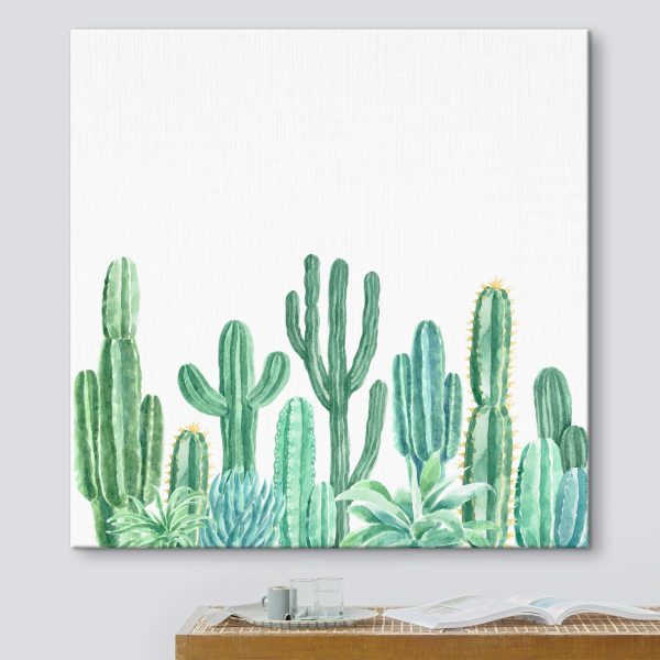 Cuadros Cuadros Conjunto de cactus y suculentas (SKU: s36252)