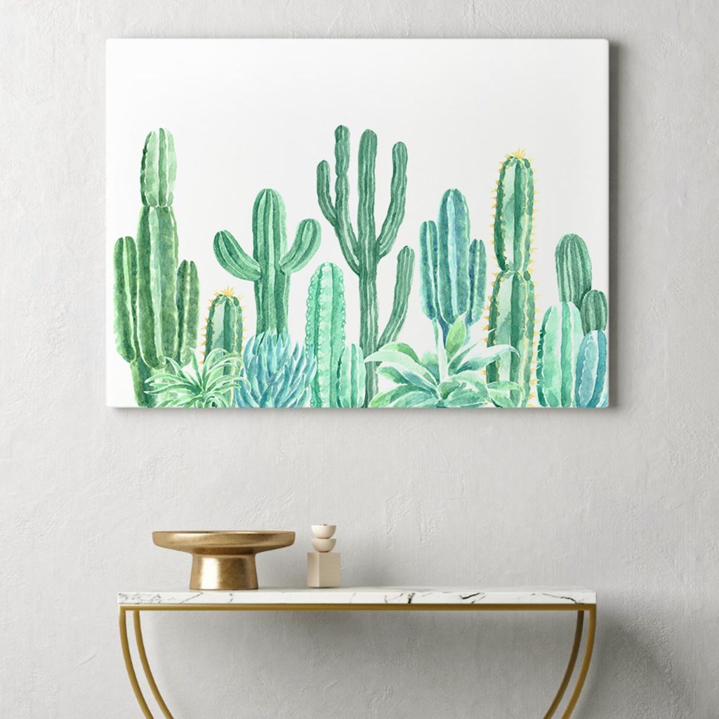 Group of cactuses and succulents