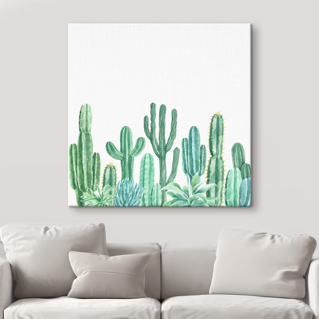 Group of cactuses and succulents