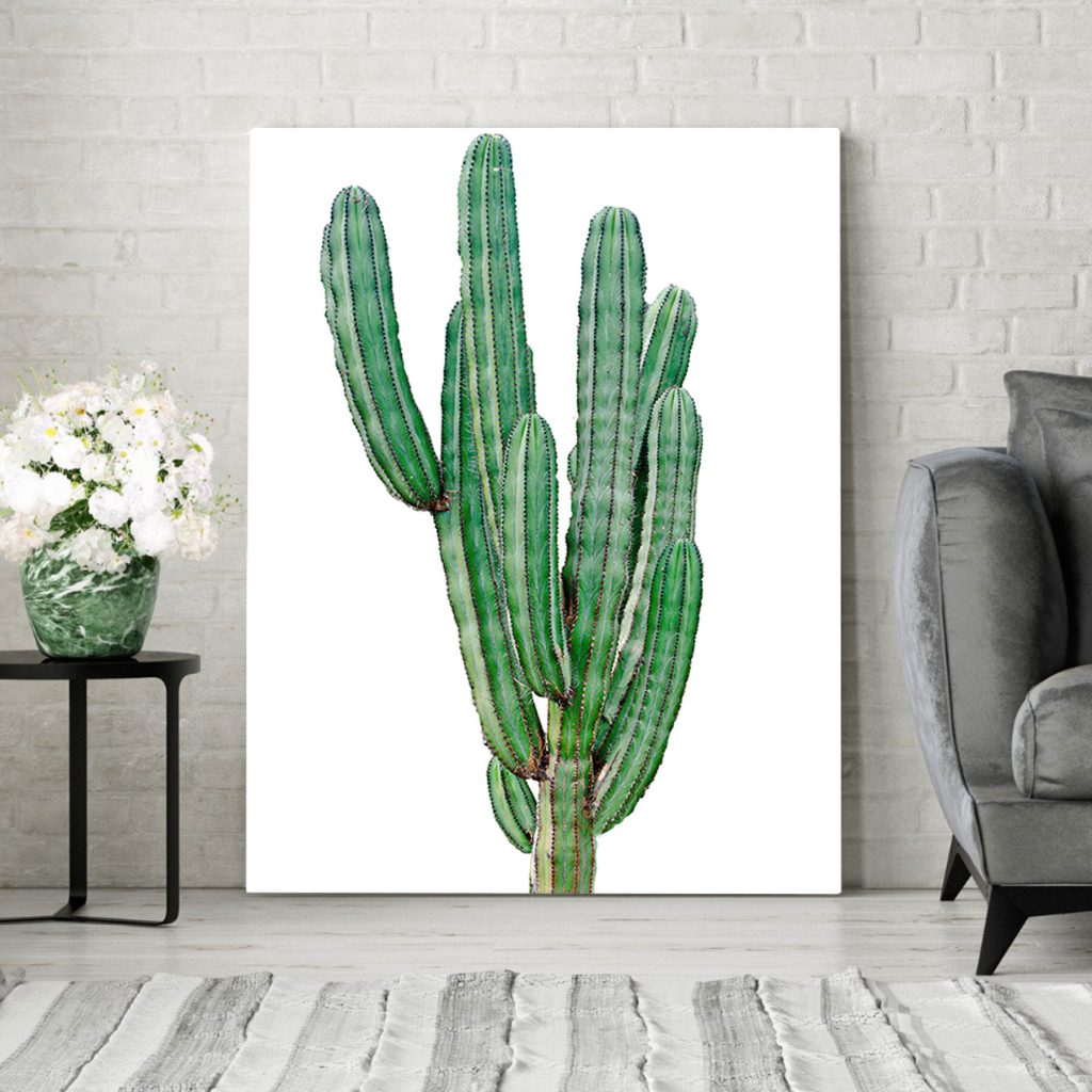 Cactus with long thin green stems Cactus with long thin green stems