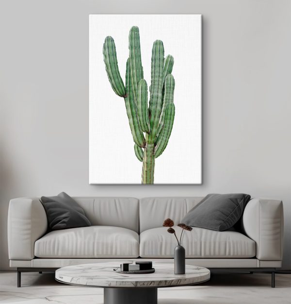 Cactus with long thin green stems Cactus with long thin green stems