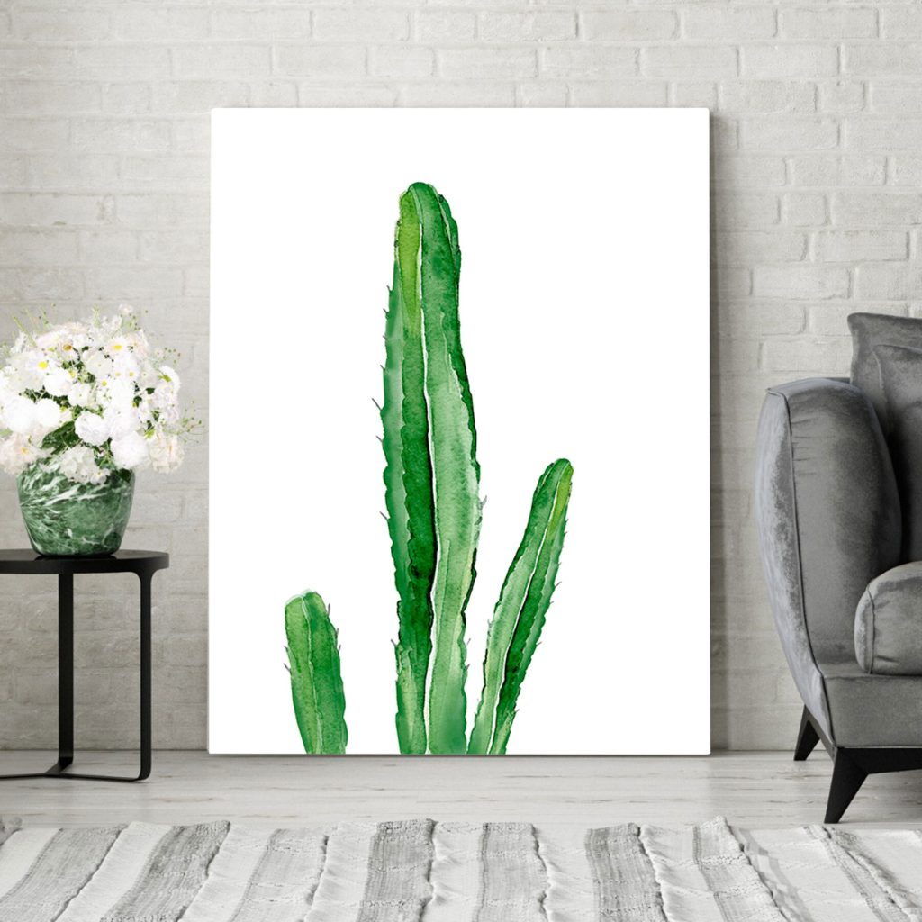 Green cactus with long stems
